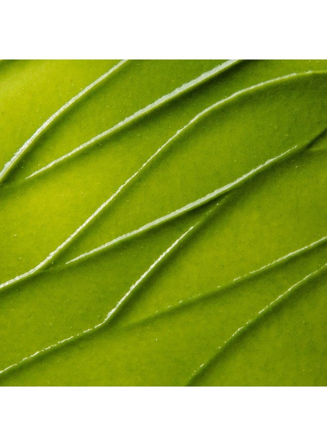 Exfolikate Intensive Exfoliating Treatment Salicylic Acid And Lactic Acid Super Facial Scrub Improves Texture And Pores 0.5 Fl Oz