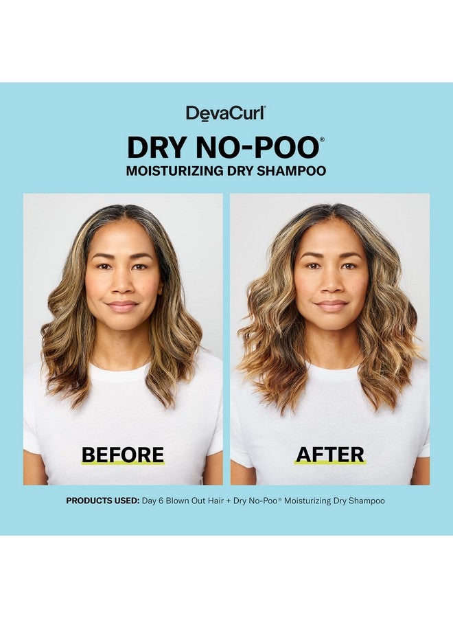 Dry Nopoo Moisturizing Dry Shampoo Nondrying Formula Invisible Finish For All Curly Hair Types
