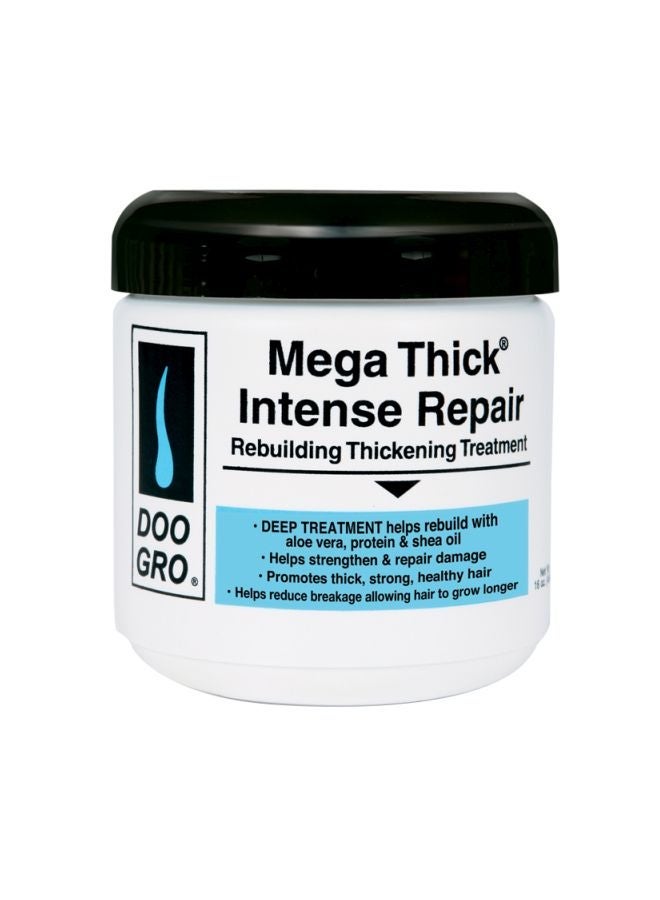 Mega Thick Intense Repair Rebuilding Thickening Treatment