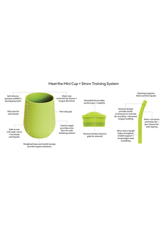 Mini Cup + Straw Training System 9 Months+ (Lime) 100% Silicone Training Cup For Infants + Toddlers Designed By A Pediatric Feeding Specialist