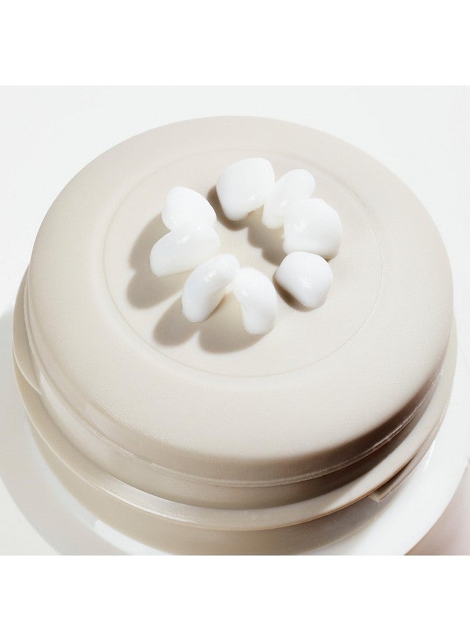 Bloom Cream Daily Moisturizer Tube Fragrance Free 1.69 Fl. Oz Nourishes Hydrates & Restores With Niacinamide No Irritation Good For Sensitive Skin