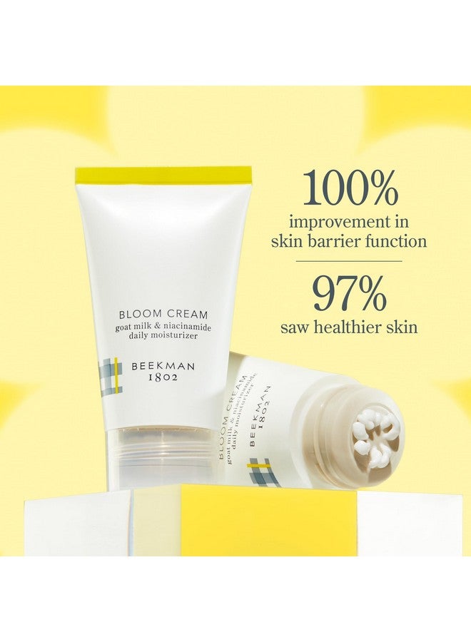 Bloom Cream Daily Moisturizer Tube Fragrance Free 1.69 Fl. Oz Nourishes Hydrates & Restores With Niacinamide No Irritation Good For Sensitive Skin