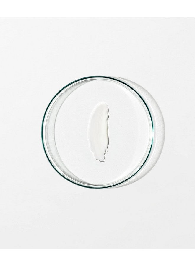 Skin Renewal Day Cream Anti Aging Face Moisturizer For Women & Men Face Moisturizer With Reishi Extract Moringa Peptides And Antioxidants (65Ml)