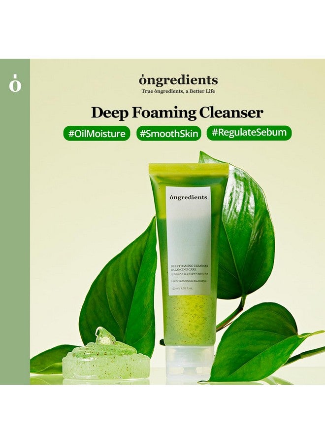 Heartleaf Houttuynia Cordata Deep Foam Cleanser Moisturizing Salicylic Acid Face Wash 4.05 Fl Oz