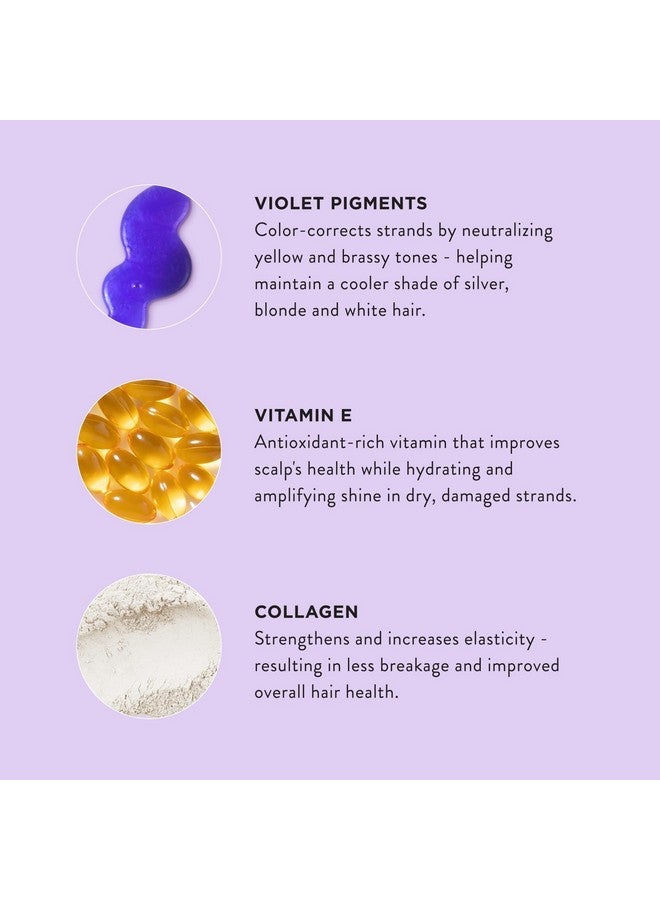 Shampoo Silver Plus Ageless 12 Fl Oz (Pack Of 3)