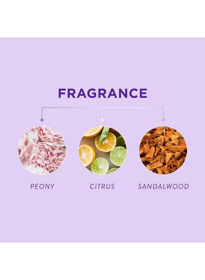 Shampoo Silver Plus Ageless 12 Fl Oz (Pack Of 3)