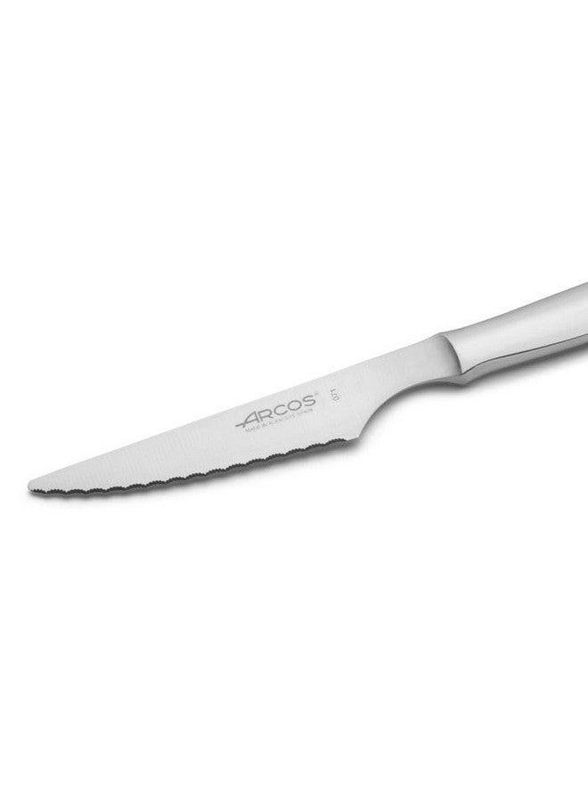 Steak Set 4 Inch Nitrum Stainless Steel And Mm Blade. Ergonomic Polyoxymethylene Pom Handle. Series Mesa. The Serrated Edges Make Them Perfect For Cutting And Chopping Meats. Color Silver.