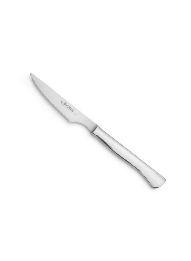 Steak Set 4 Inch Nitrum Stainless Steel And Mm Blade. Ergonomic Polyoxymethylene Pom Handle. Series Mesa. The Serrated Edges Make Them Perfect For Cutting And Chopping Meats. Color Silver.