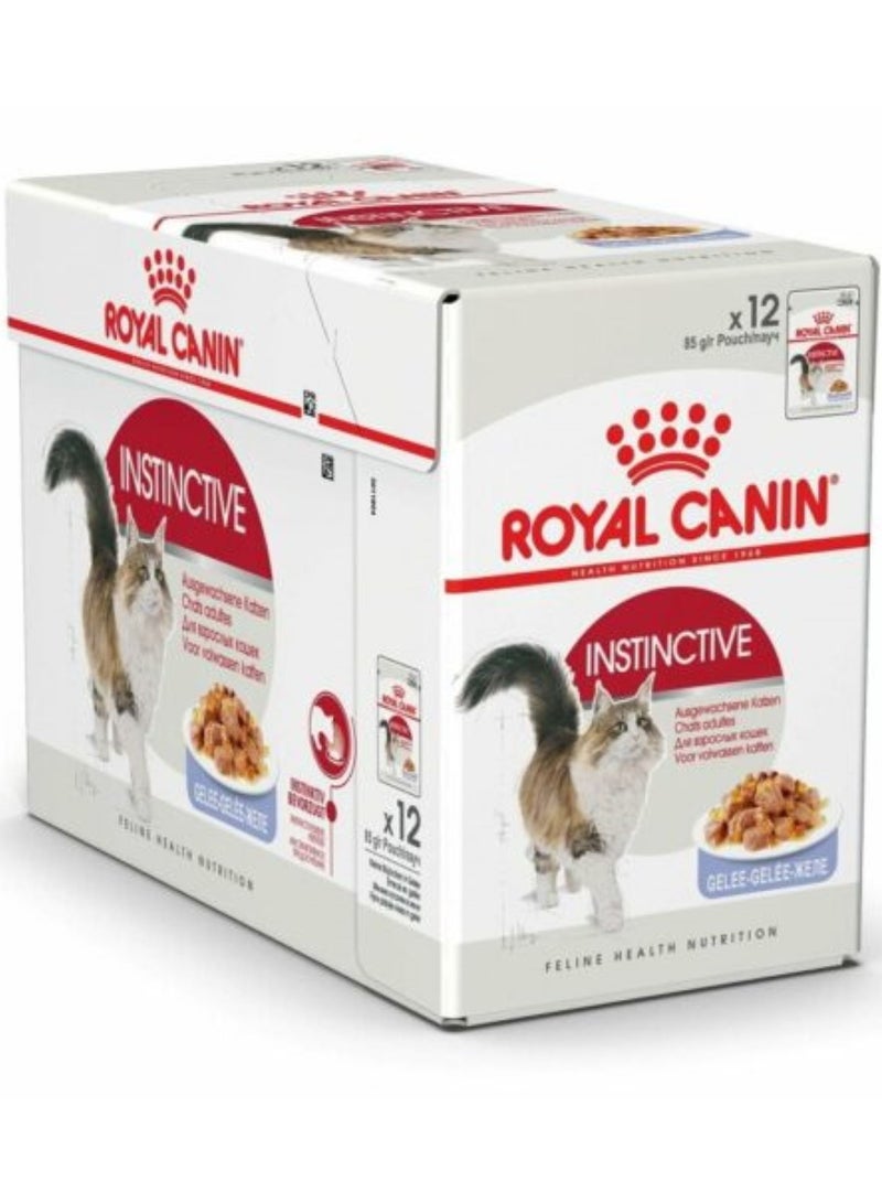 Royal Canin Instinctive in Jelly Cat Wet Food Pouches 12X85g