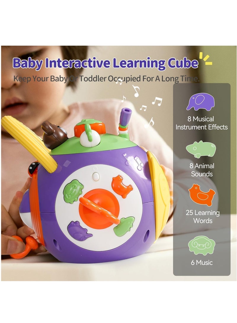 Musical Sensory Toys for Toddlers 1-3, Baby Toys Activity Learning Cube Toys for 6 to 12 Months Baby Toys for Boy Girl Birthday Gift Purple