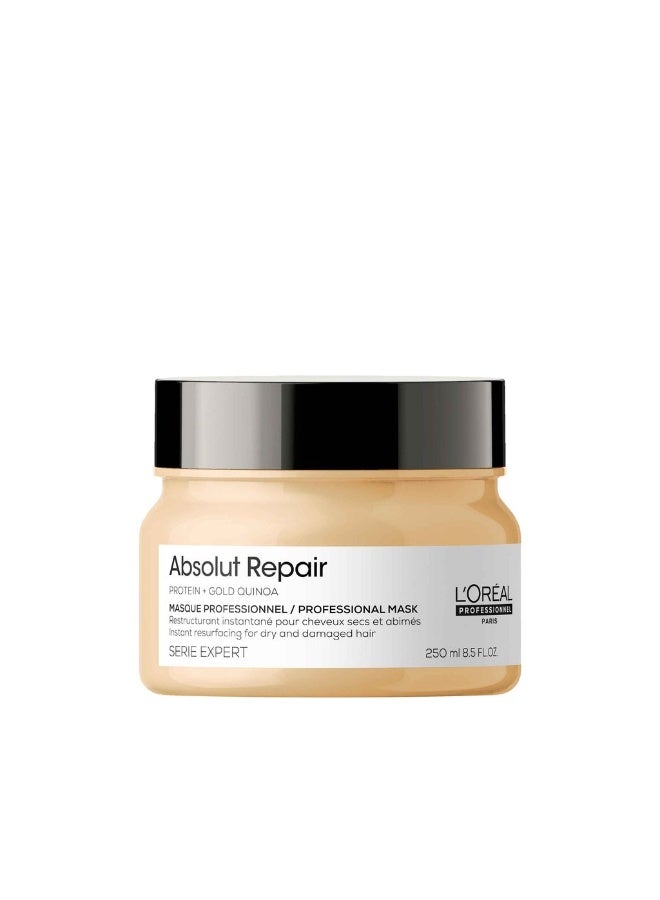 Serie Expert Absolute Repair Mask For Thick Hair