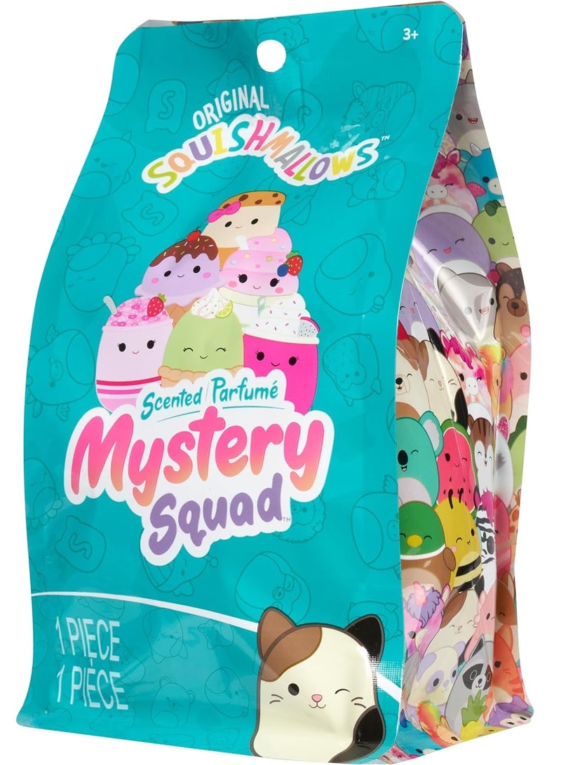 Scented Mystery Bags - 5inches