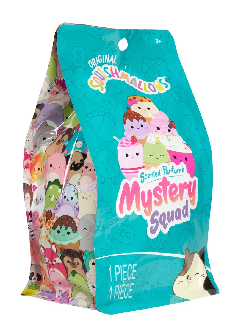 Scented Mystery Bags - 5inches