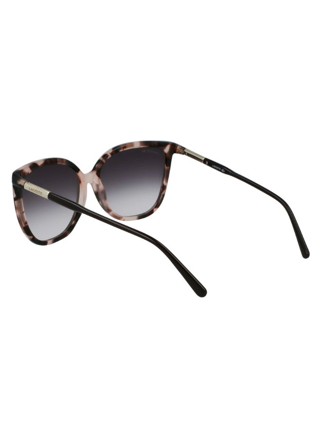 Women's Square Sunglasses - L963S_610 - Lens size: 59 mm