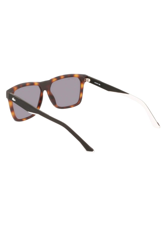Unisex Square Sunglasses - L972S_230 - Lens size: 57 mm