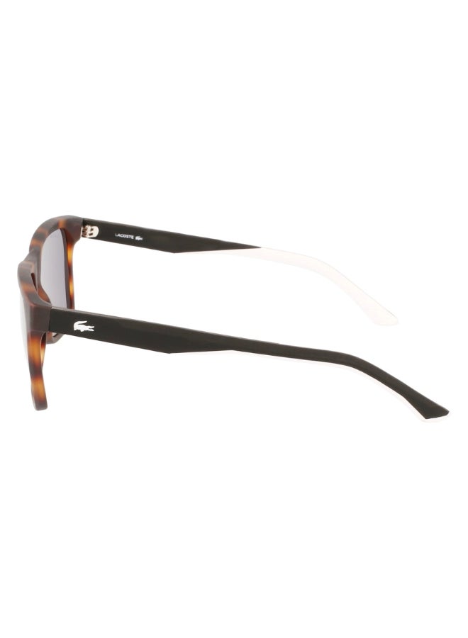 Unisex Square Sunglasses - L972S_230 - Lens size: 57 mm