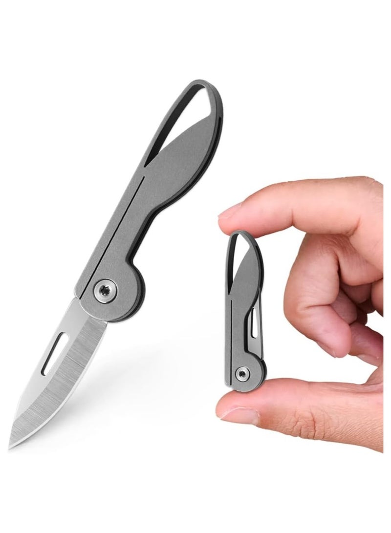 Titanium Alloy Mini Folding Pocket Knife, EDC Keychain Cutter, Compact Utility Knife for Men and Women (Titanium Handle / 5Cr13 Steel Blade) - Perfect Gift Idea!