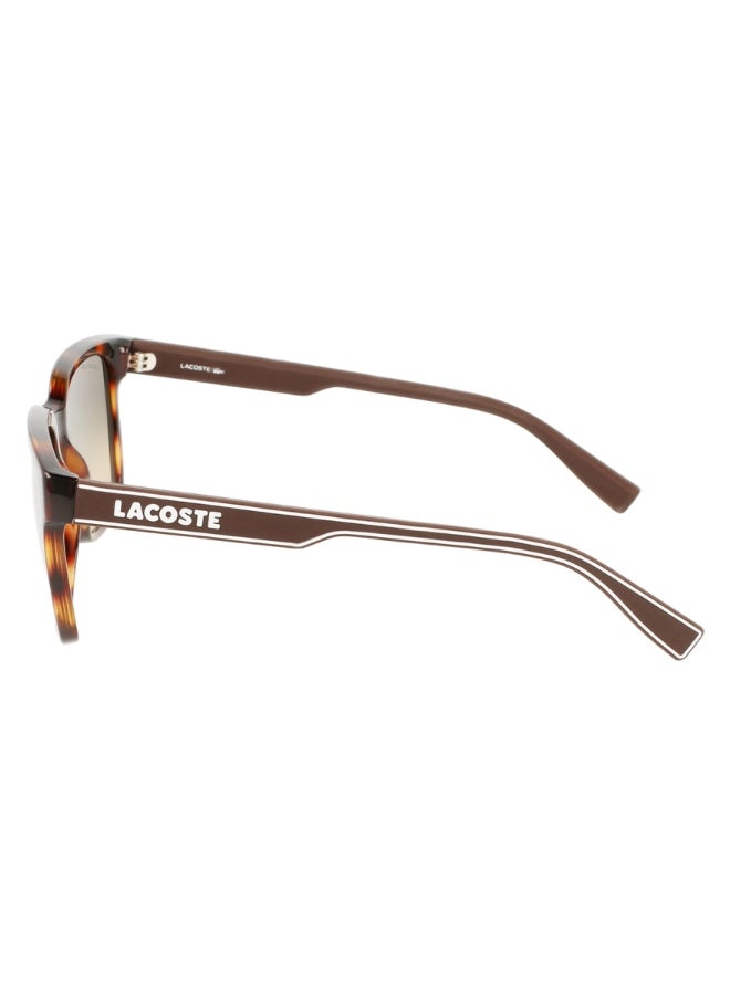 Men's Square Sunglasses - L967S_230 - Lens size: 55 mm