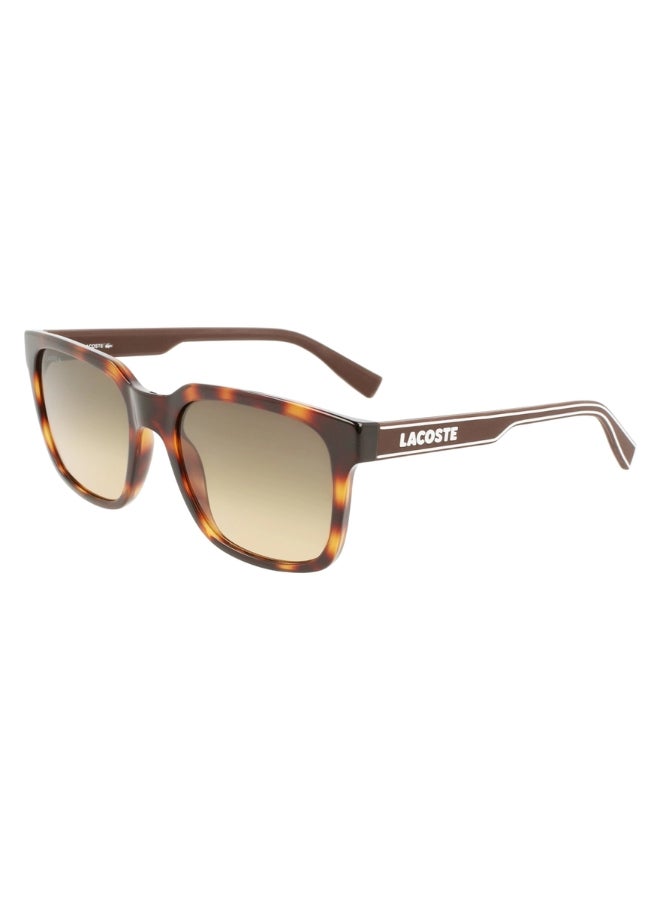Men's Square Sunglasses - L967S_230 - Lens size: 55 mm