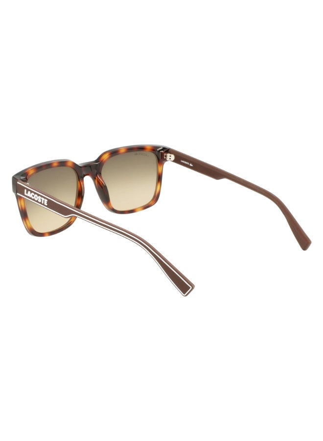 Men's Square Sunglasses - L967S_230 - Lens size: 55 mm