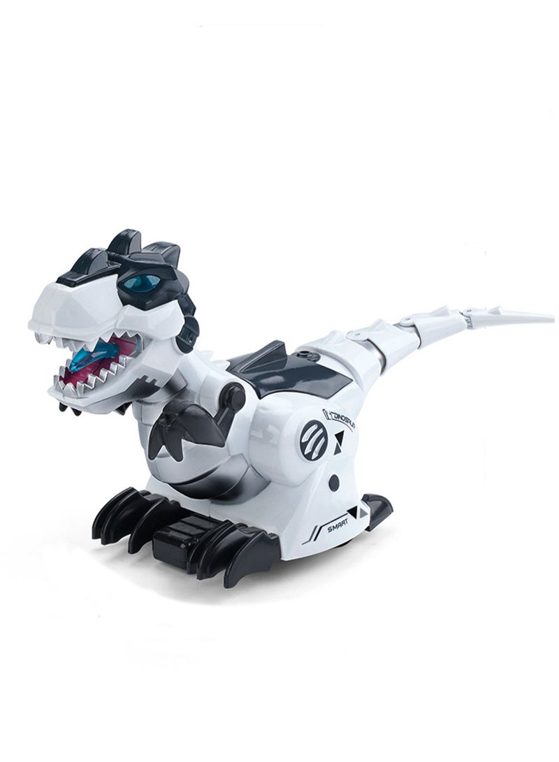 Children's Toy Simulation Dinosaur Electric Remote Control Deformable Spray Model Set