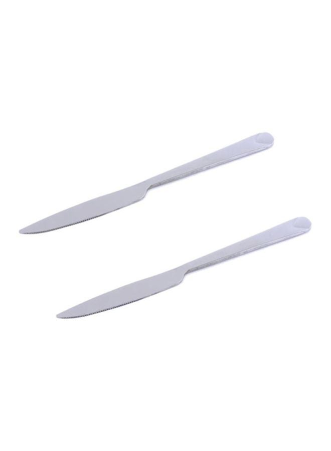 2-Piece Table Knife Silver
