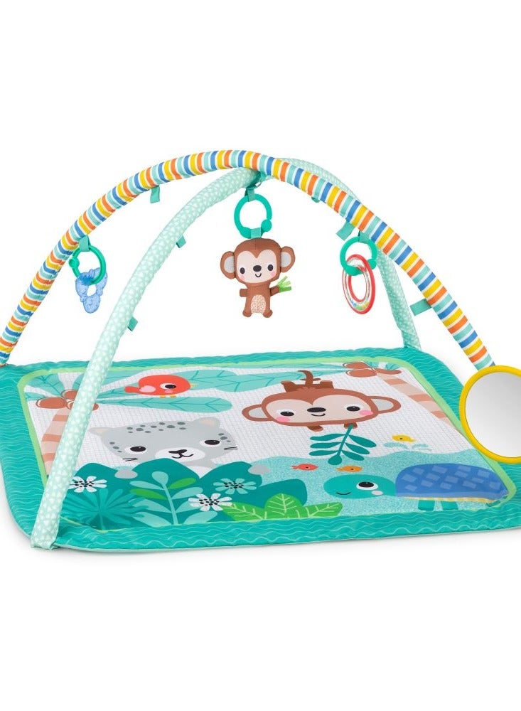 Palm Party Activity Gym