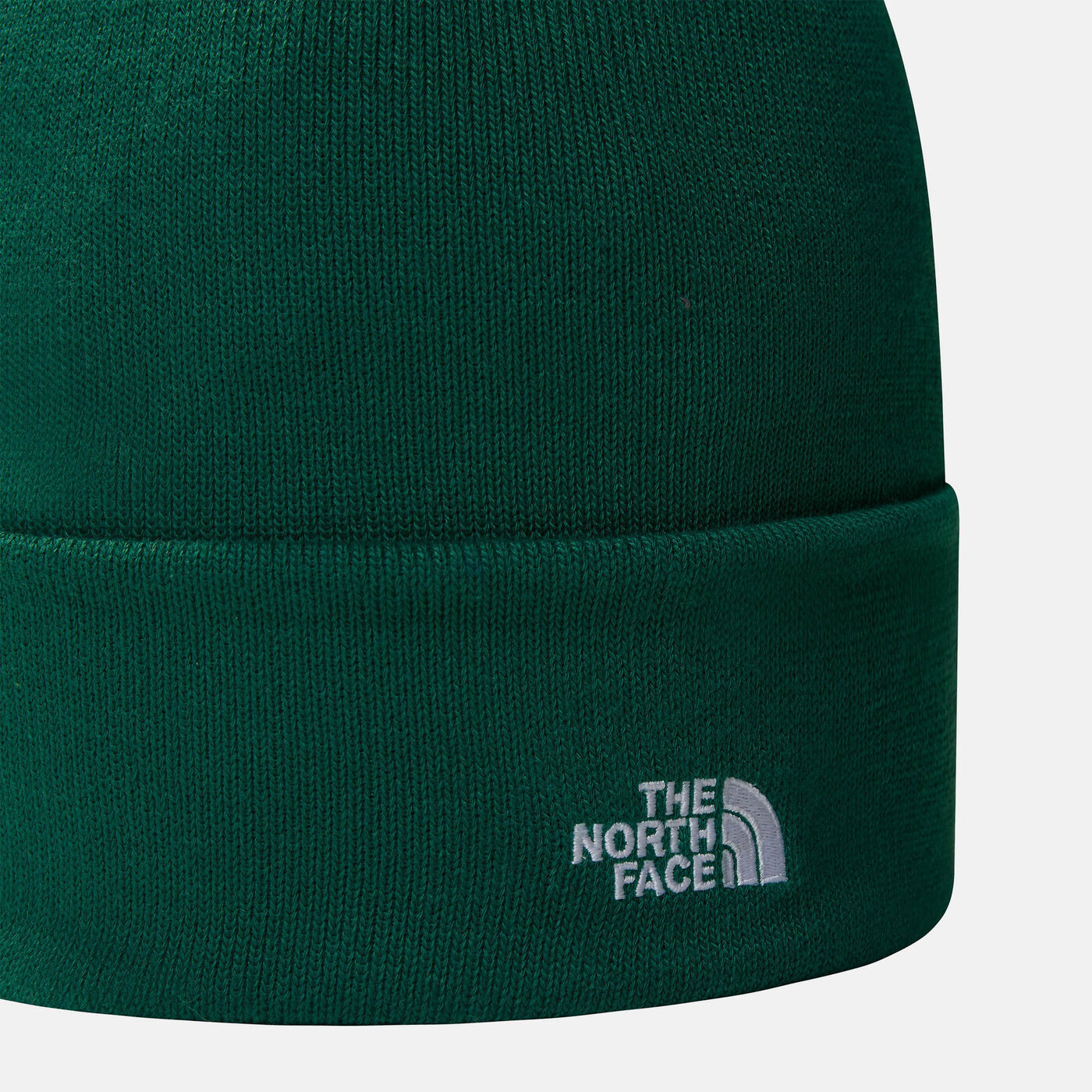 Norm Beanie