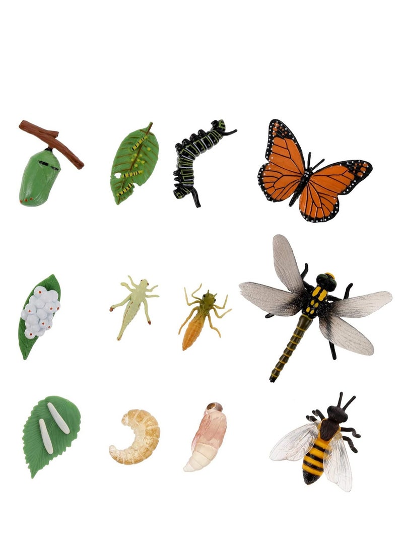 12PCS Insect Figurines Life Cycle of a Butterfly Dragonfly Bee, Safariology Growth Cycle Model Bug, Figures Educational Toy for Kids Toddlers