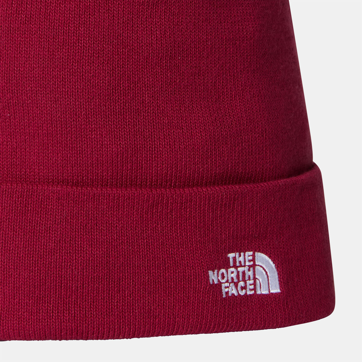 Norm Beanie