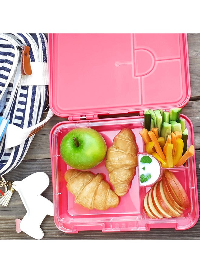 6 And 4 Convertible Compartment Bento Lunch Box With Stainless Steel Water Bottle 640ml And Sandwich Cutter Set - Tropical Pink