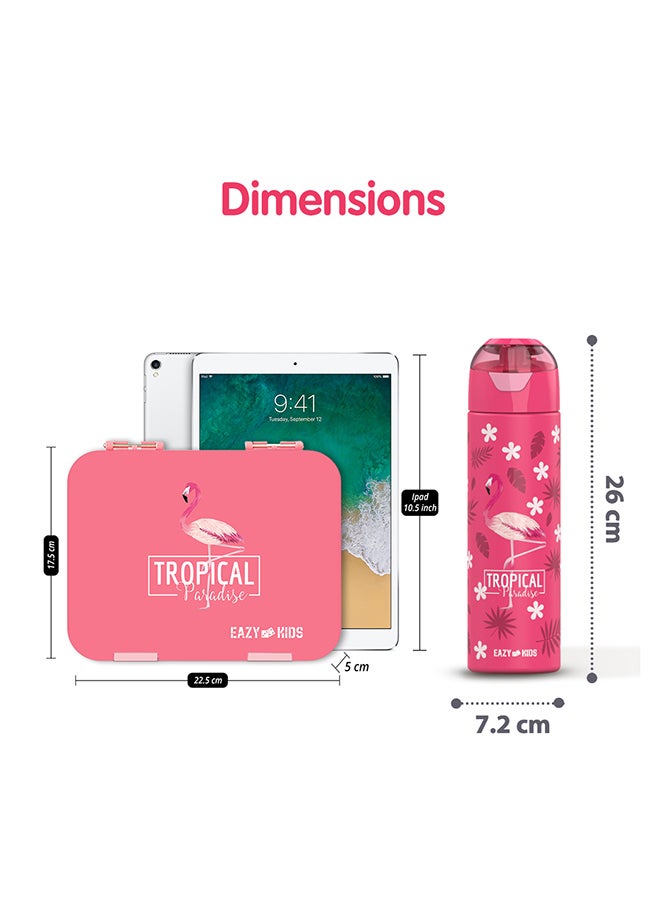 6 And 4 Convertible Compartment Bento Lunch Box With Stainless Steel Water Bottle 640ml And Sandwich Cutter Set - Tropical Pink