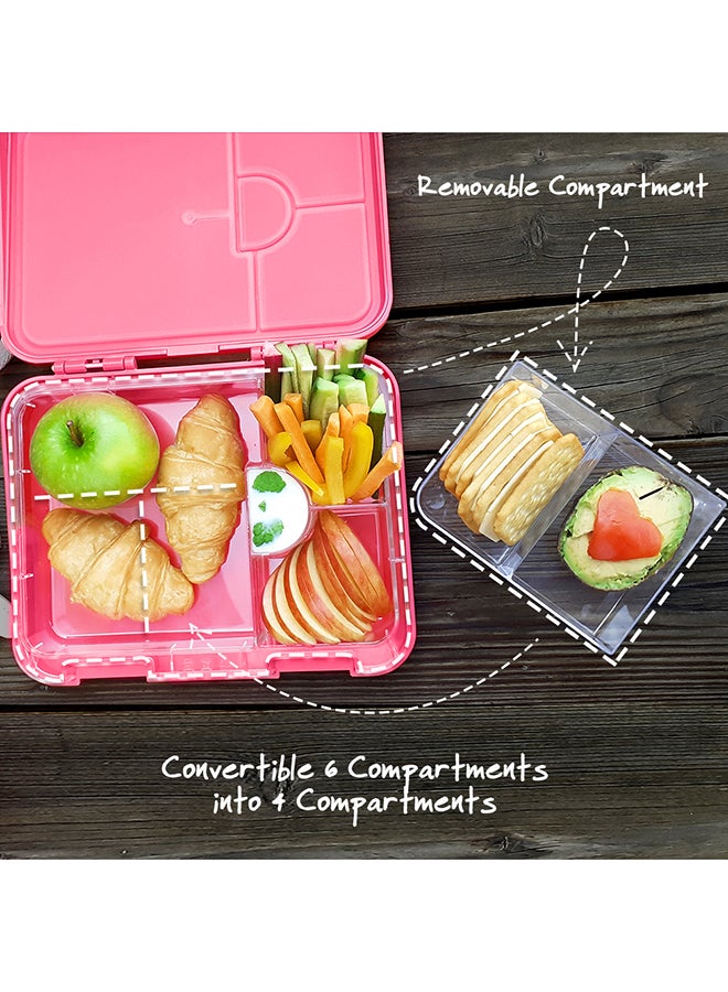 6 And 4 Convertible Compartment Bento Lunch Box With Stainless Steel Water Bottle 640ml And Sandwich Cutter Set - Tropical Pink