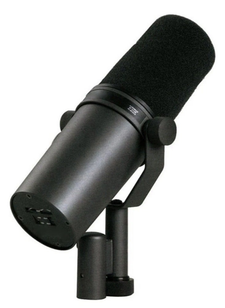 Professional Dynamic Microphone, Cardioid Dynamic Microphone Studio Selectable Frequency Response Microphone for Live Stage Recording Podcasting