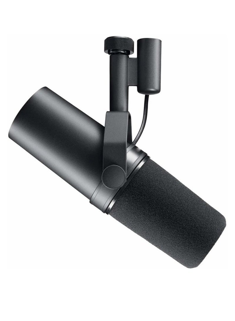 Professional Dynamic Microphone, Cardioid Dynamic Microphone Studio Selectable Frequency Response Microphone for Live Stage Recording Podcasting