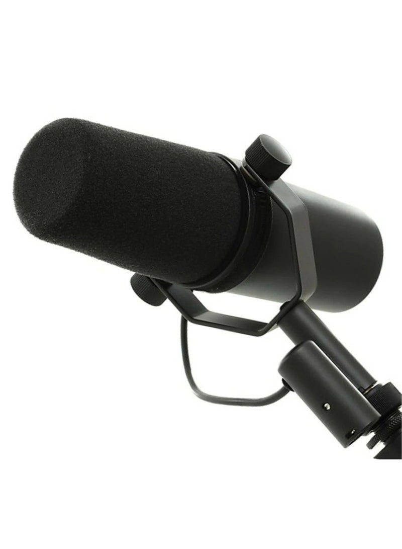 Professional Dynamic Microphone, Cardioid Dynamic Microphone Studio Selectable Frequency Response Microphone for Live Stage Recording Podcasting