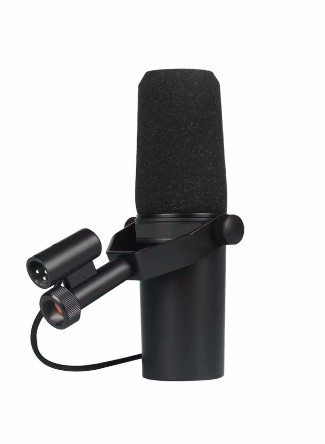 Professional Dynamic Microphone, Cardioid Dynamic Microphone Studio Selectable Frequency Response Microphone for Live Stage Recording Podcasting