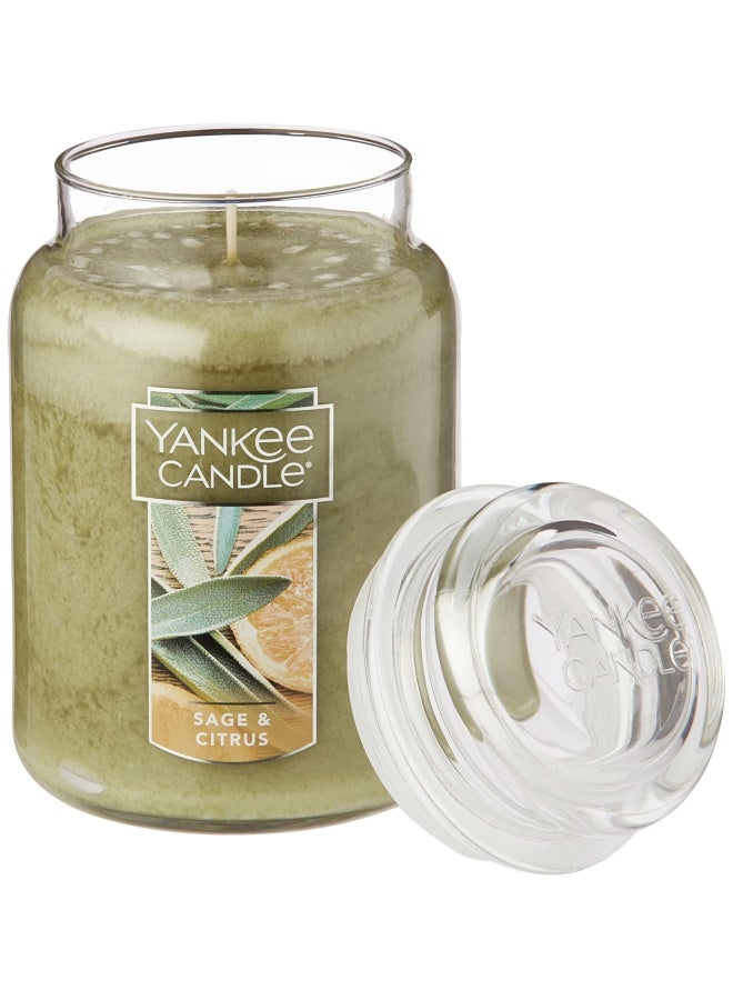Yankee Candle Sage And Citrus Scented 22Oz Single Wick Candle Over 110 Hours Of Burn Time Ideal For Home Decor And Gifts Classic Large Jar Ivory
