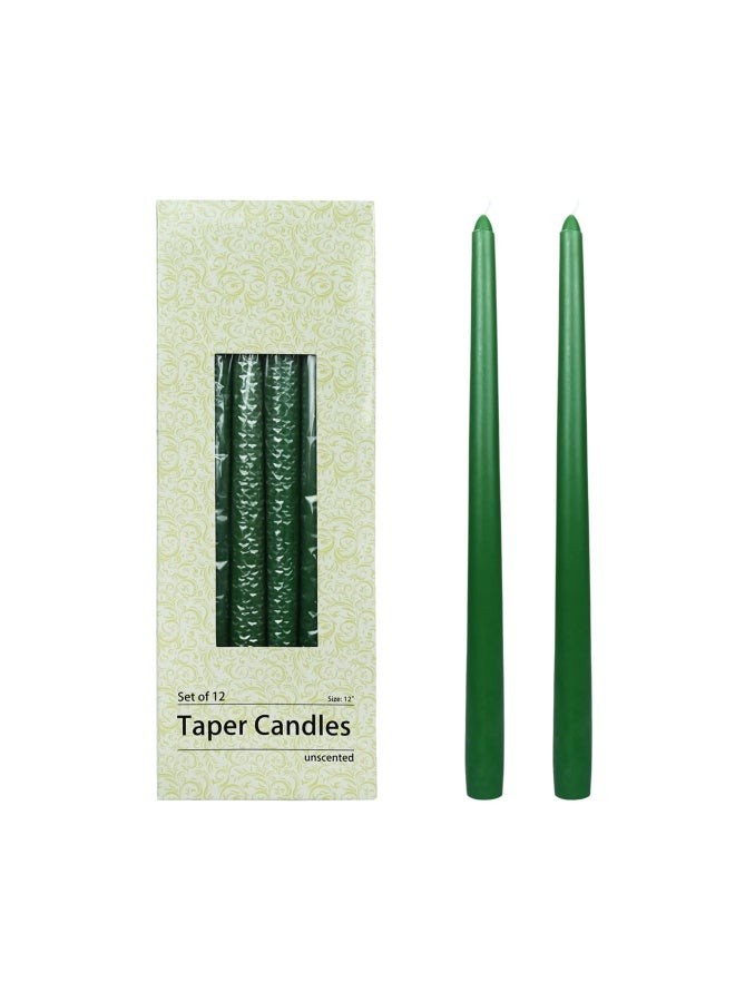 Zest Candle 12 Piece Taper Candles 12 Inch Hunter Green