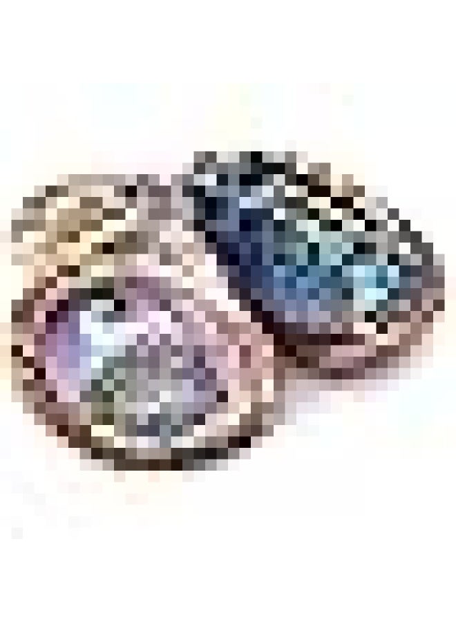 (15Cm + Hand Selected Abalone Shell) - Alternative Imagination Hand Selected Abalone Shell, 15Cm Or Larger. Perfect For Holding Incense, Trinkets, And More