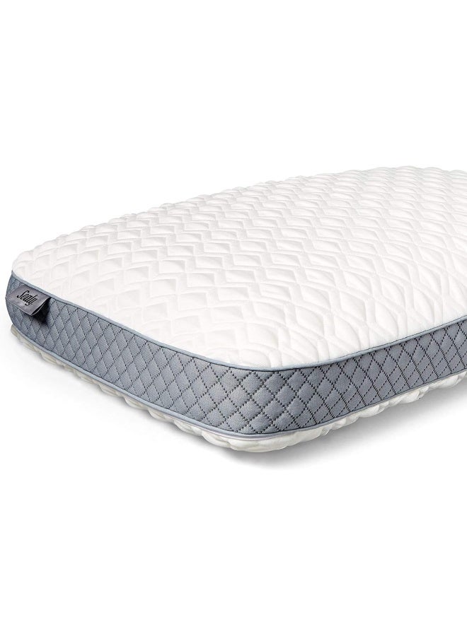 Sealy Molded Memory Foam Pillow, Standard, White, Grey