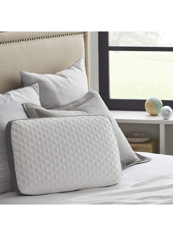 Sealy Molded Memory Foam Pillow, Standard, White, Grey