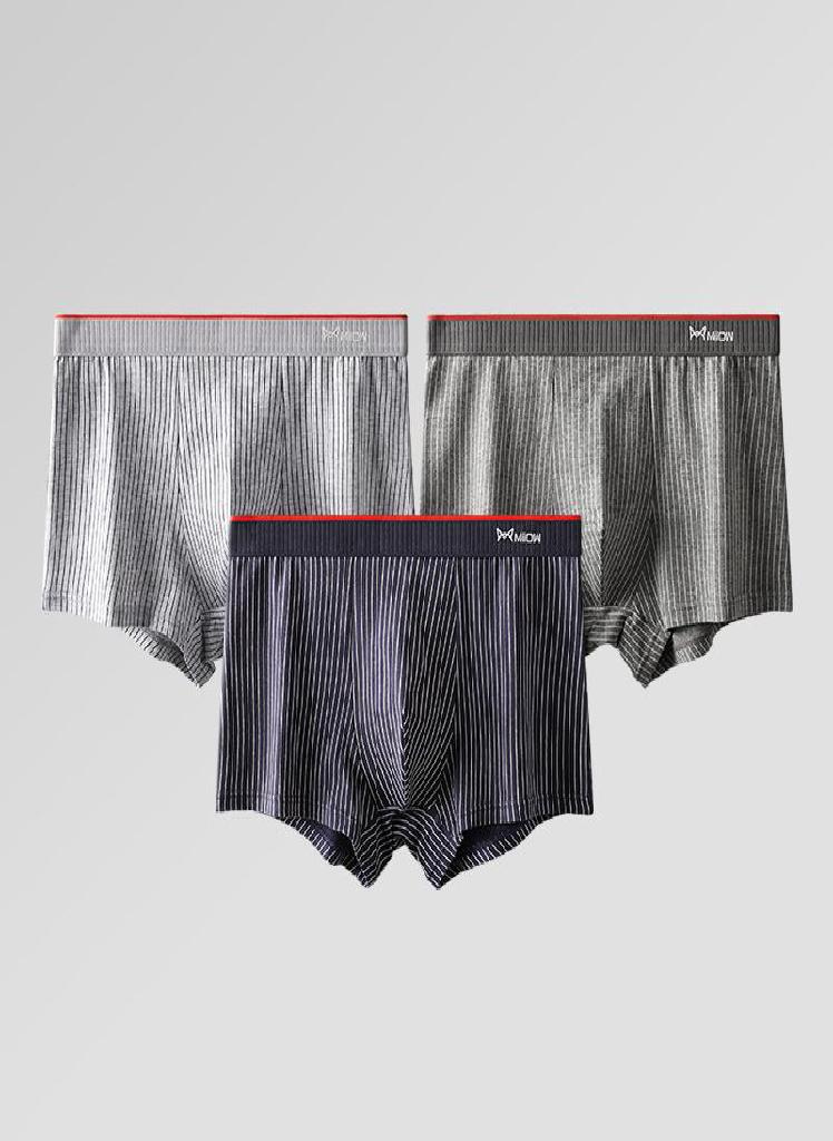 3Pcs Cotton Men's Underwear Boxer Shorts AAA Antibacterial Men's Underwear Men's Boxer Gift New