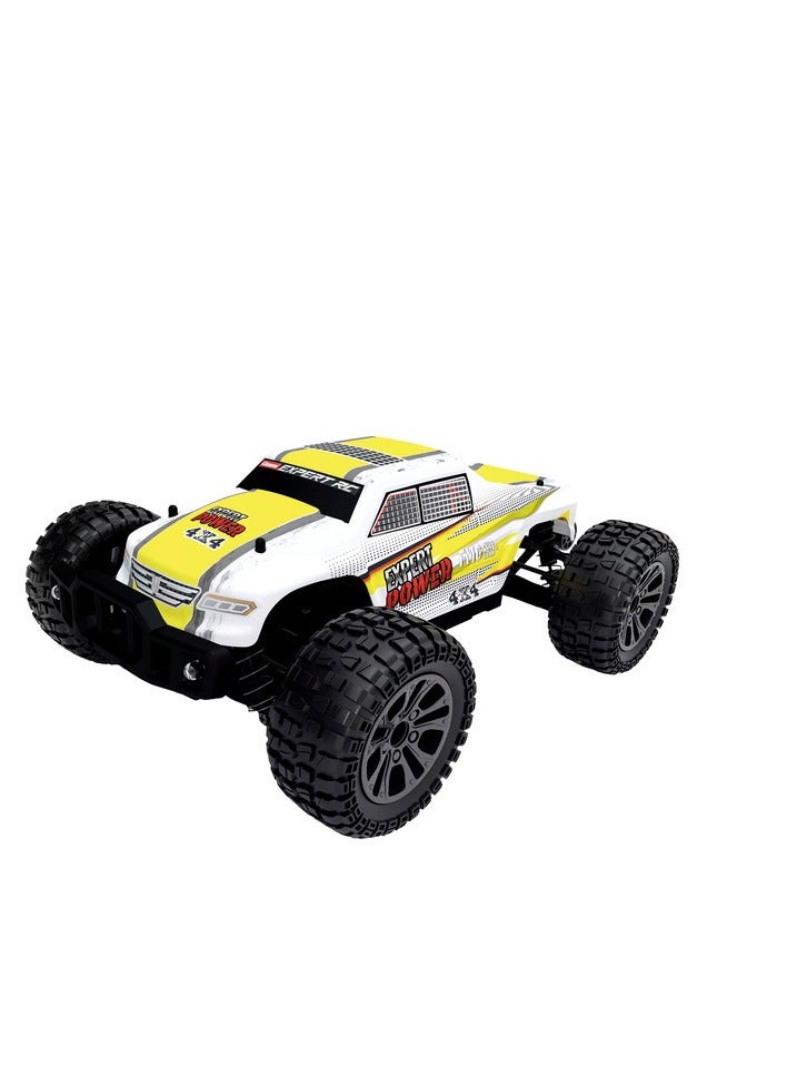 RC EXPERT OFFROAD PICKUP 1:10