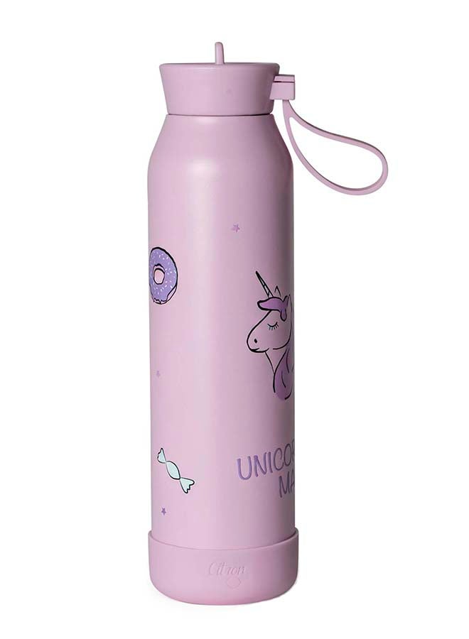 SS Water Bottle 500 ML - Stormy Unicorn