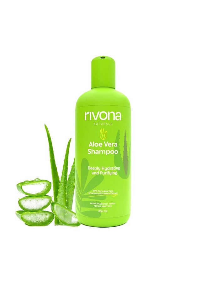 Pure Aloe Vera Shampoo Zero Chemicals Natural Hydrating Shampoo L For Soft Smooth Hair L For Men & Women Vegan Sulphate And Paraben Free 250 Ml