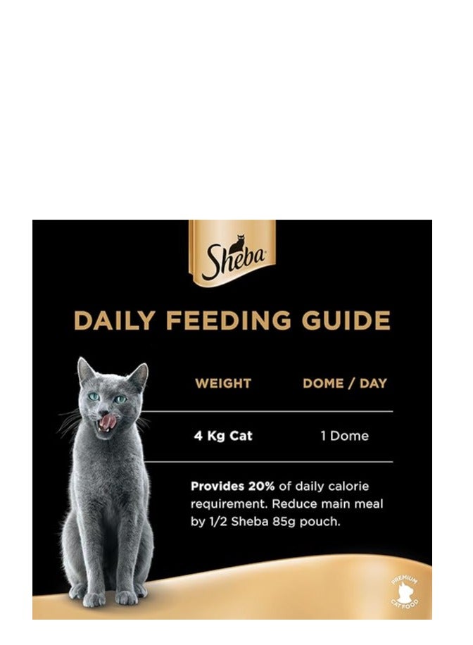 Sheba Cat Food Flavor Selection Filets, Mix of 4 Domes of Natural Shredded Chicken, Chicken with Shrimp & Tuna, Chicken with Sustainable Tuna & Sustainable White Fish, Premium Wet Food, Pack of 16x60g