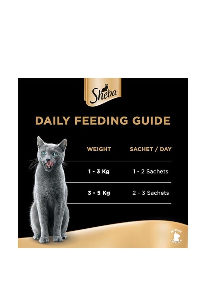 Sheba Cat_Food, Melty Tuna & Salmon Flavor Creamy Treats, Premium Indulgence, Fed by Hand for a Special Moment so Your Cat Can Find Relish with ThisTreat, Pack of 48x12g