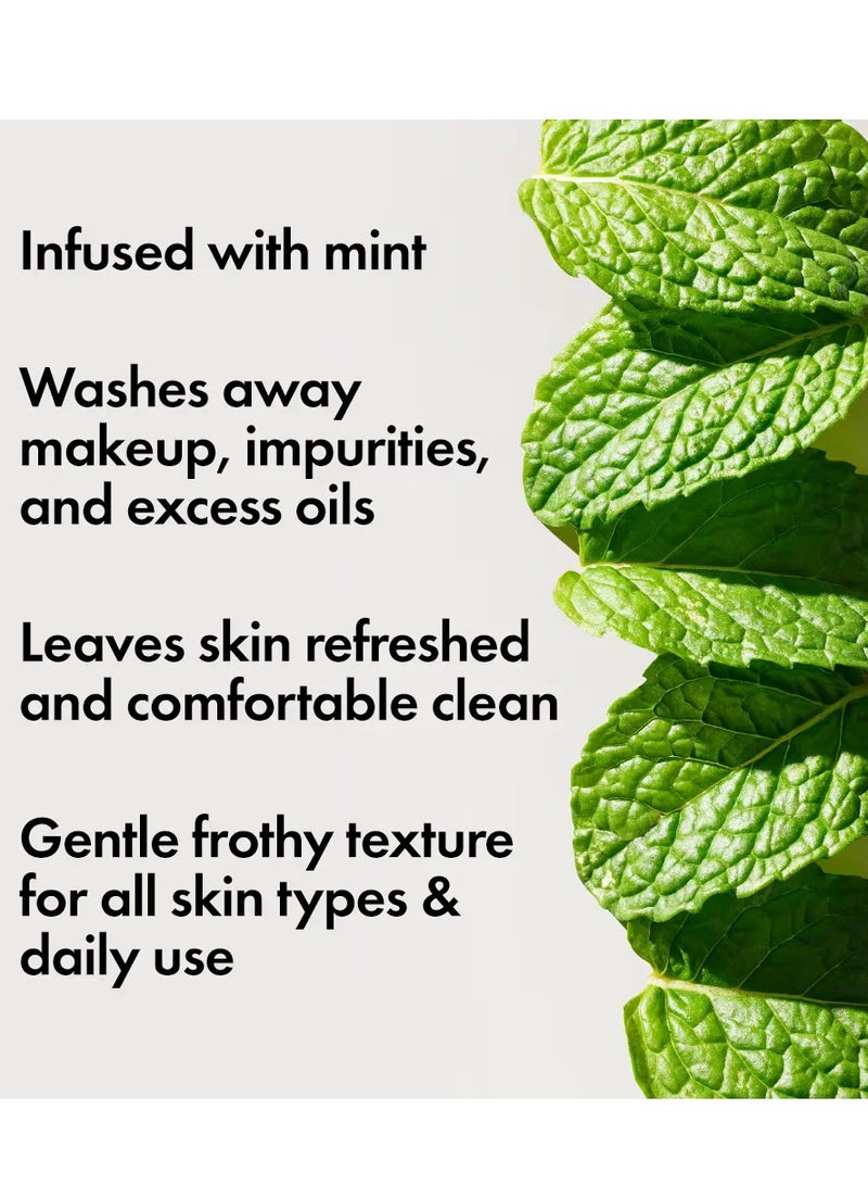 ORIGINS Checks and Balances Frothy Face Wash, 150ml