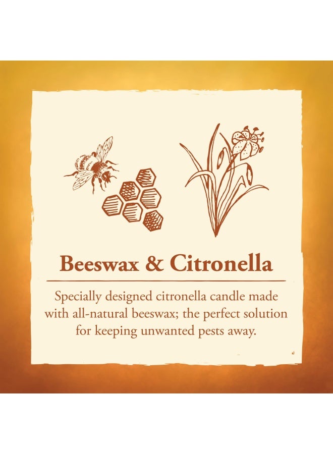 80 Hour Citronella Candle Glass Cylinder Eco Friendly Natural Beeswax With Cotton Wick